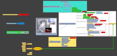 The Da Vinci Race projet